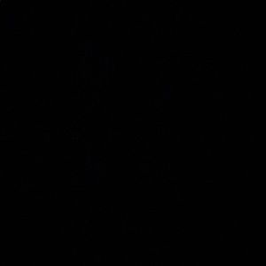 Meet your Posher, Briana